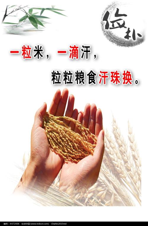 高中毕业证照片几寸